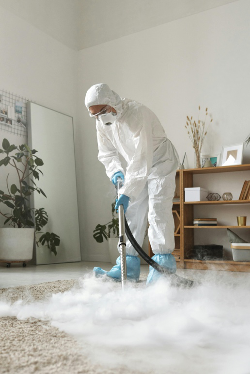 Professional janitorial team performing office carpet and floor cleaning